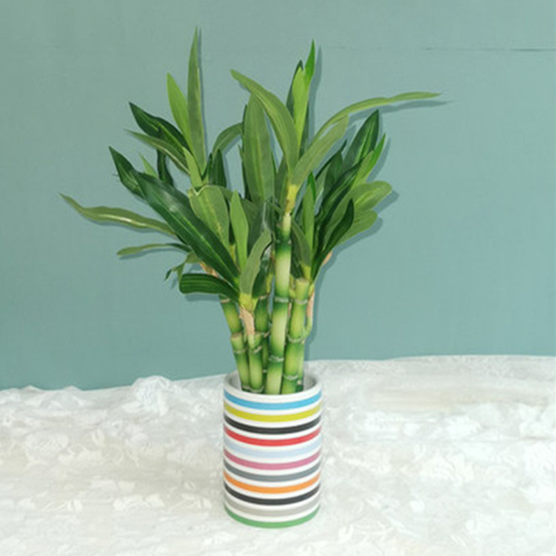 New 40cm rFtificial Lucky Bamb - Outdoor Furniture Green のレビューと価格